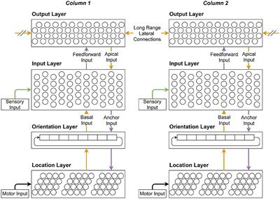 Orientation Invariant Sensorimotor Object Recognition Using Cortical Grid Cells